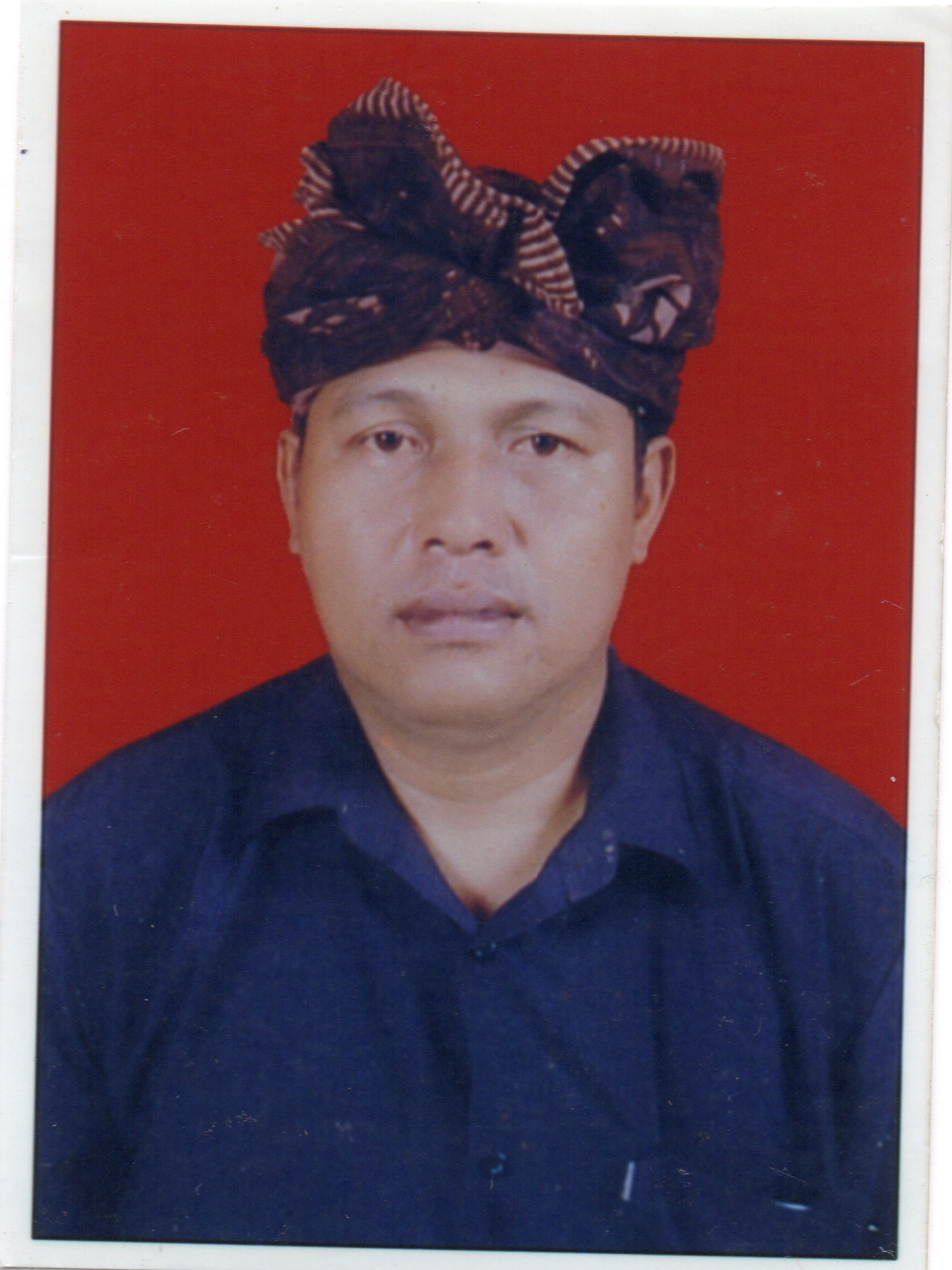 I Wayan Darmana 